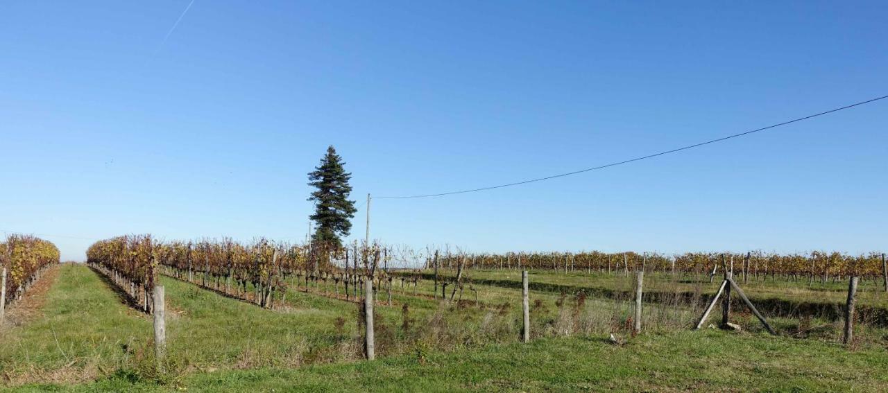 Le Clos De La Chataignere Villa Verac Luaran gambar